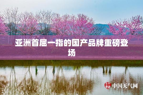 亚洲首屈一指的国产品牌重磅登场