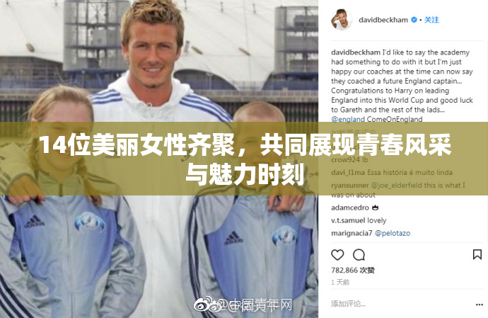 14位美丽女性齐聚，共同展现青春风采与魅力时刻