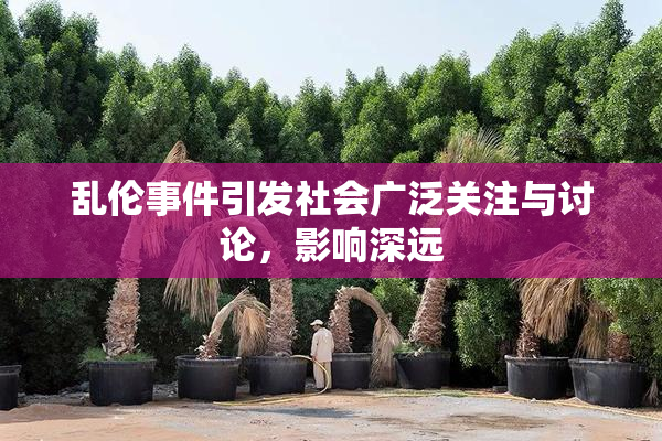 乱伦事件引发社会广泛关注与讨论，影响深远