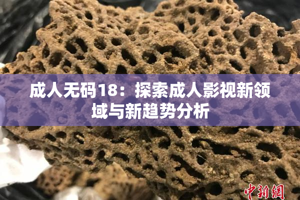 成人无码18：探索成人影视新领域与新趋势分析