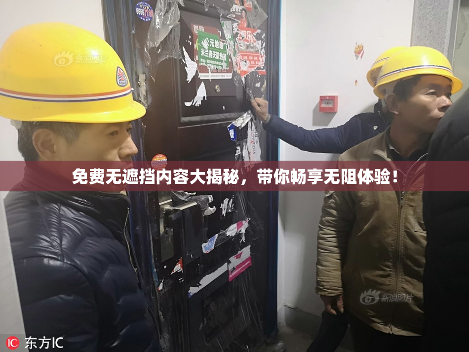 免费无遮挡内容大揭秘，带你畅享无阻体验！