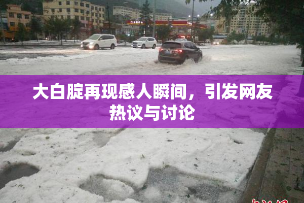 大白腚再现感人瞬间，引发网友热议与讨论