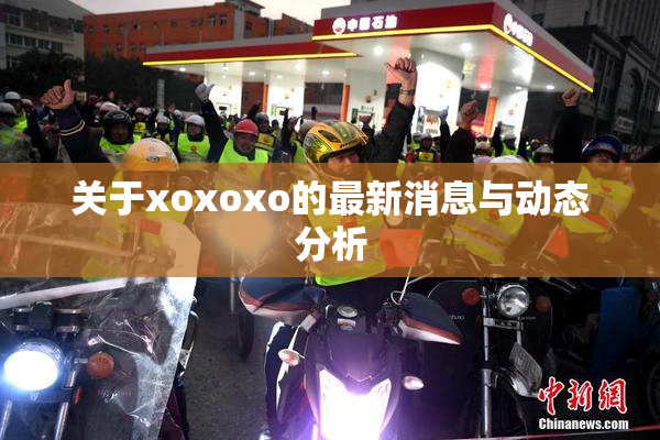 关于xoxoxo的最新消息与动态分析