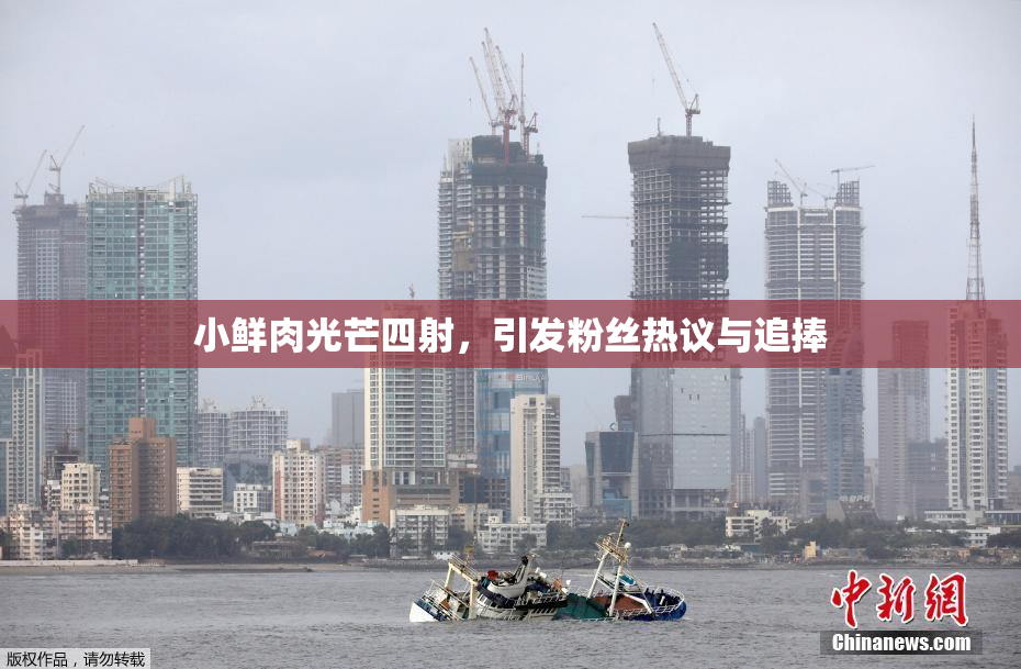 小鲜肉光芒四射，引发粉丝热议与追捧