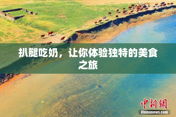 扒腿吃奶，让你体验独特的美食之旅