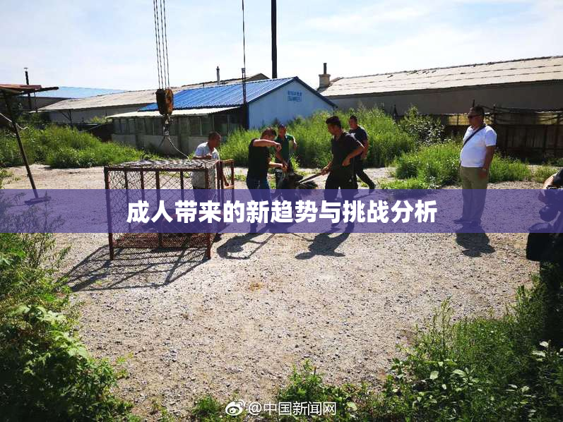 成人带来的新趋势与挑战分析