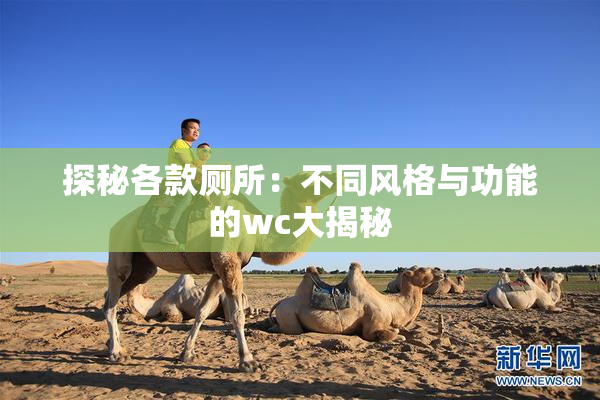 探秘各款厕所：不同风格与功能的wc大揭秘