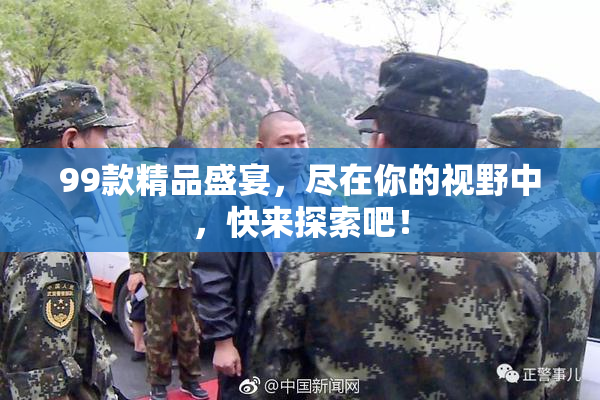 99款精品盛宴，尽在你的视野中，快来探索吧！