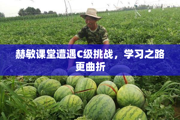 赫敏课堂遭遇C级挑战，学习之路更曲折