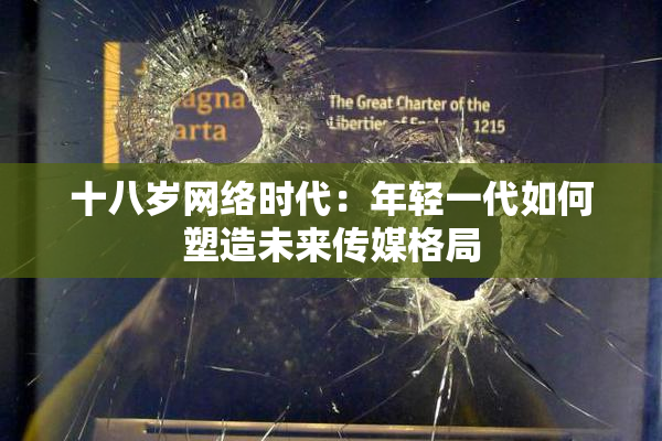 十八岁网络时代：年轻一代如何塑造未来传媒格局