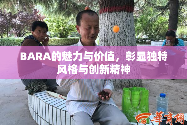 BARA的魅力与价值，彰显独特风格与创新精神