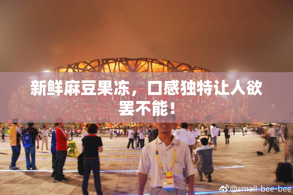 新鲜麻豆果冻，口感独特让人欲罢不能！