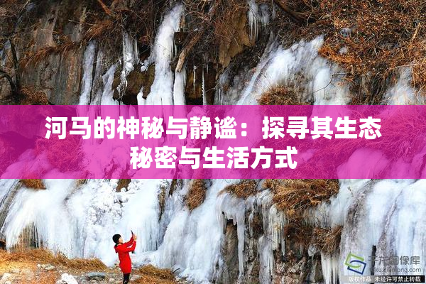 河马的神秘与静谧：探寻其生态秘密与生活方式