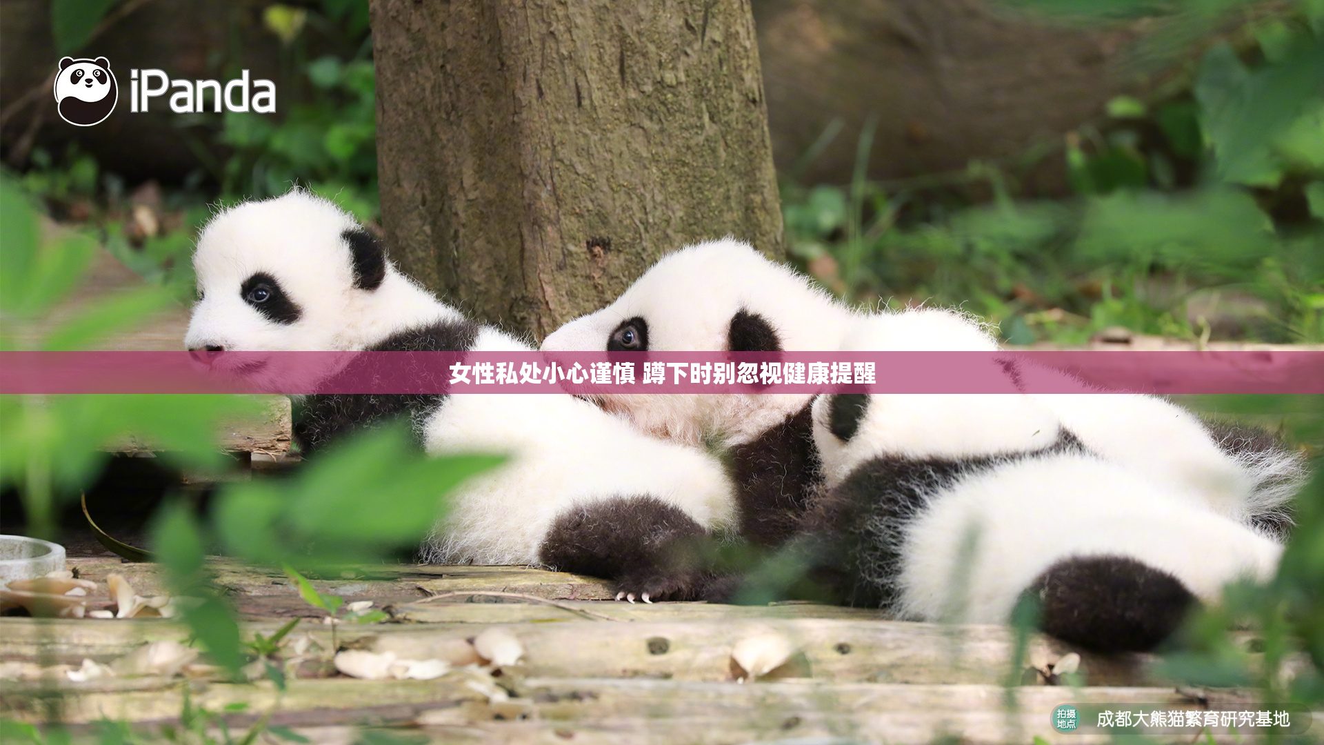 女性私处小心谨慎 蹲下时别忽视健康提醒