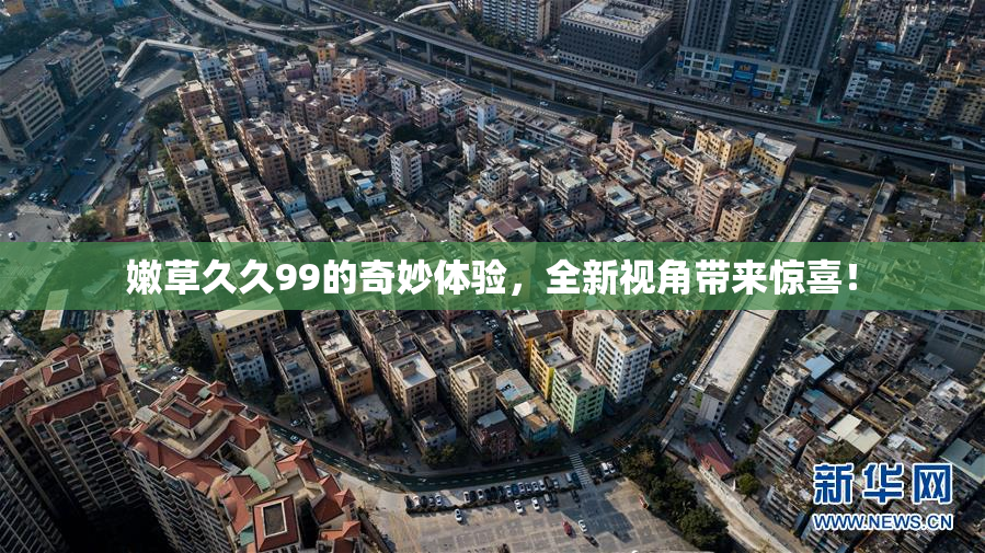 嫩草久久99的奇妙体验，全新视角带来惊喜！