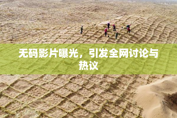 无码影片曝光，引发全网讨论与热议