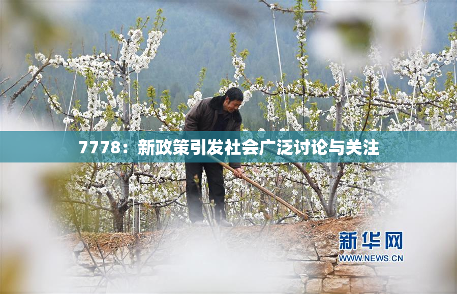 7778：新政策引发社会广泛讨论与关注