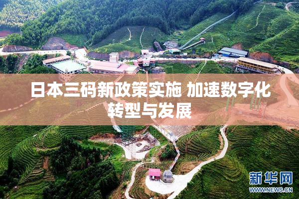日本三码新政策实施 加速数字化转型与发展