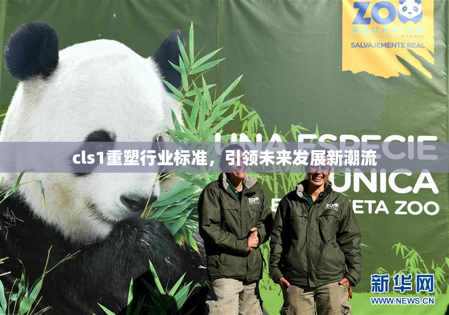 cls1重塑行业标准，引领未来发展新潮流