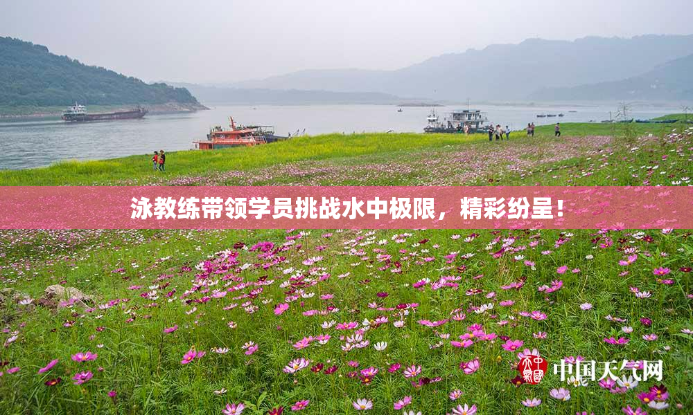 泳教练带领学员挑战水中极限，精彩纷呈！