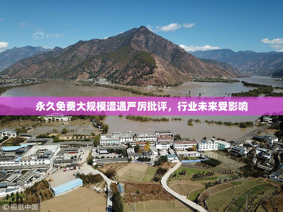 永久免费大规模遭遇严厉批评，行业未来受影响