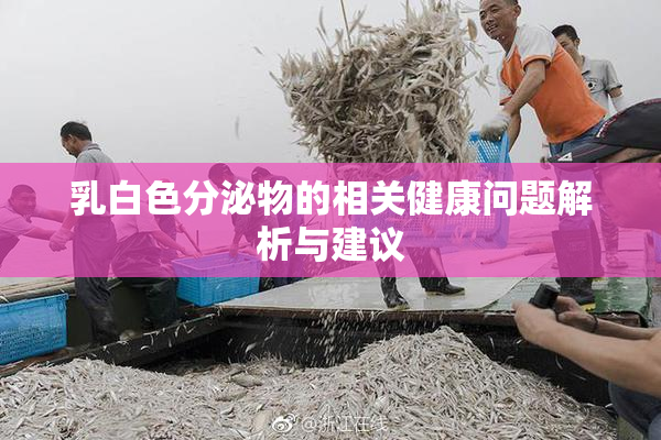 乳白色分泌物的相关健康问题解析与建议