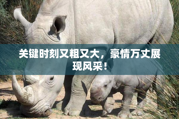 关键时刻又粗又大，豪情万丈展现风采！