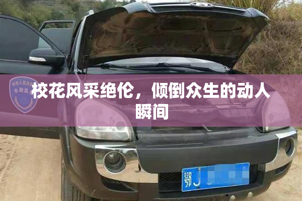 校花风采绝伦，倾倒众生的动人瞬间