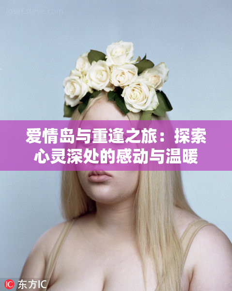 爱情岛与重逢之旅：探索心灵深处的感动与温暖