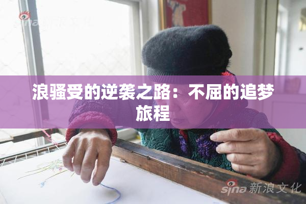 浪骚受的逆袭之路：不屈的追梦旅程