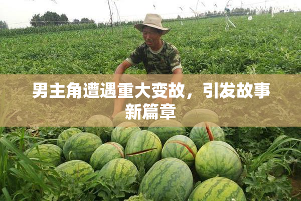 男主角遭遇重大变故，引发故事新篇章