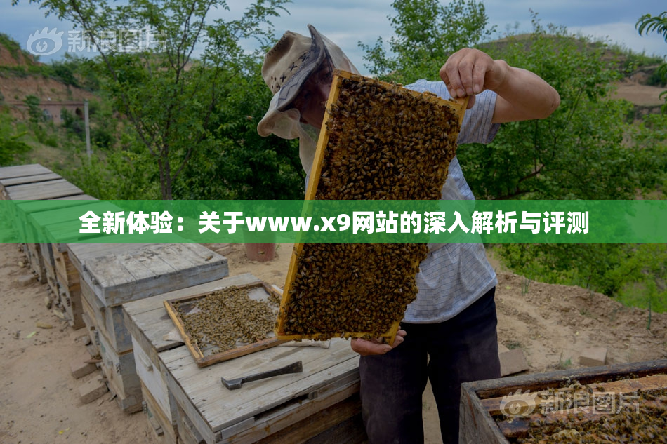 全新体验：关于www.x9网站的深入解析与评测