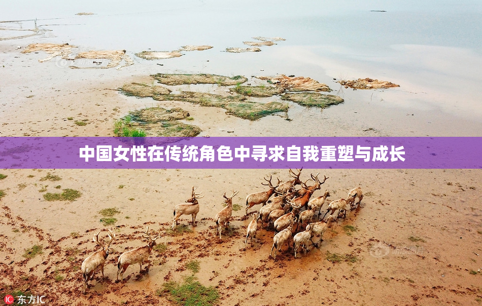 中国女性在传统角色中寻求自我重塑与成长