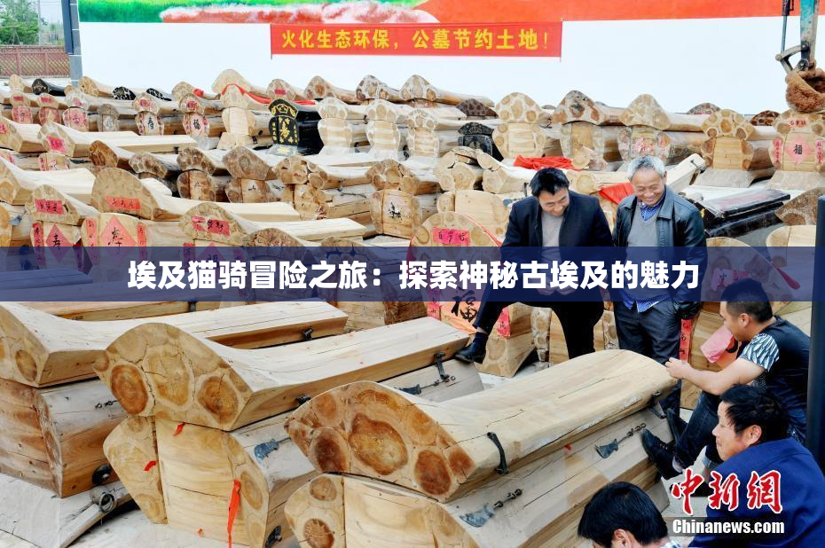 埃及猫骑冒险之旅：探索神秘古埃及的魅力