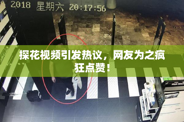 探花视频引发热议，网友为之疯狂点赞！
