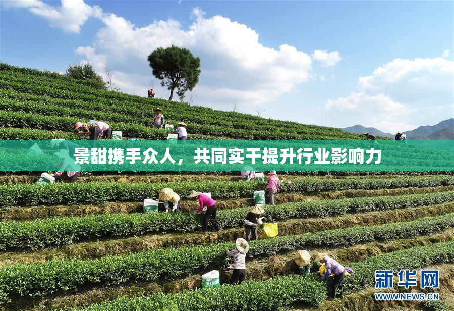 景甜携手众人，共同实干提升行业影响力