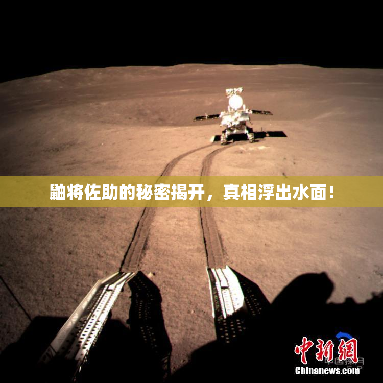 鼬将佐助的秘密揭开，真相浮出水面！