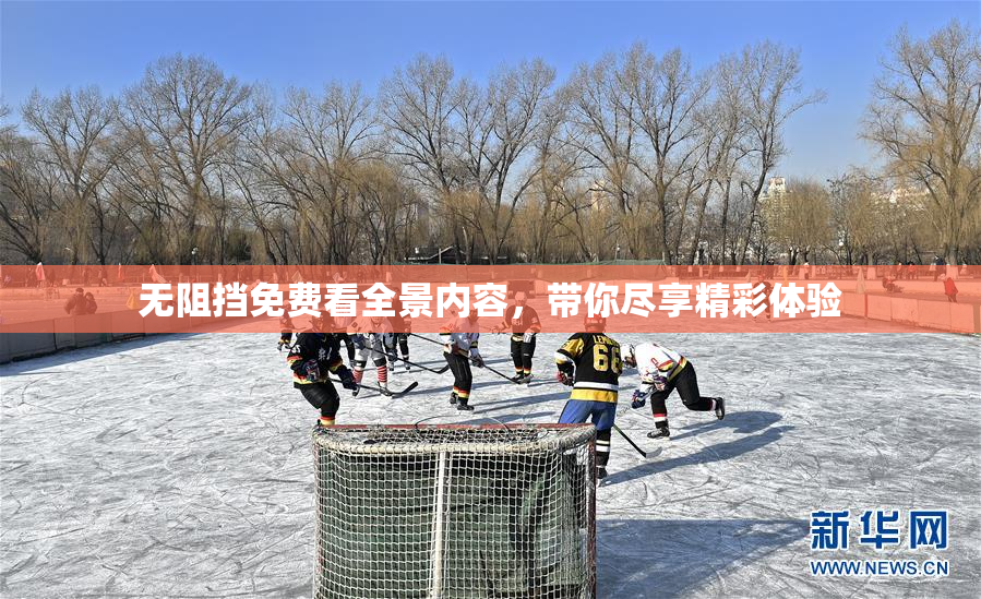 无阻挡免费看全景内容，带你尽享精彩体验