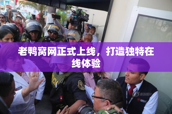 老鸭窝网正式上线，打造独特在线体验