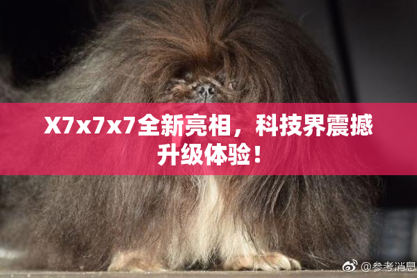 X7x7x7全新亮相，科技界震撼升级体验！
