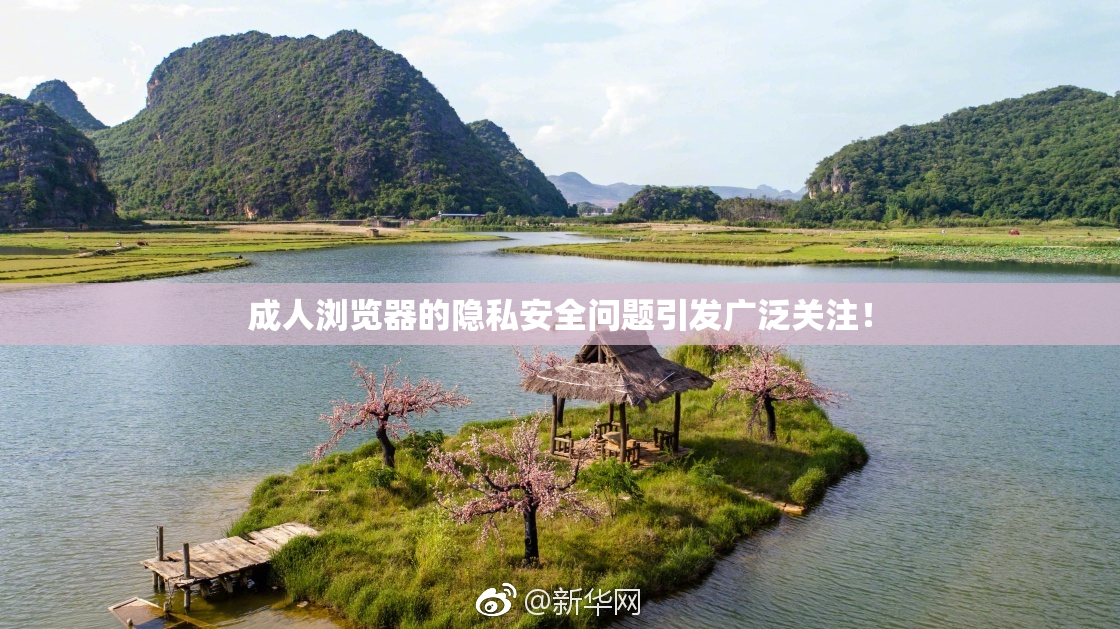 成人浏览器的隐私安全问题引发广泛关注！