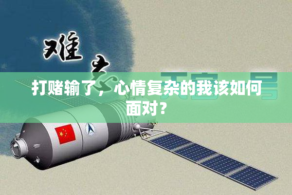 打赌输了，心情复杂的我该如何面对？