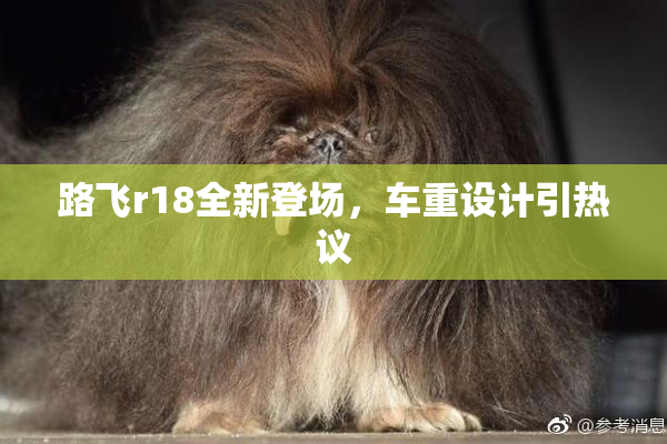 路飞r18全新登场，车重设计引热议