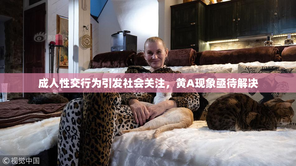 成人性交行为引发社会关注，黄A现象亟待解决