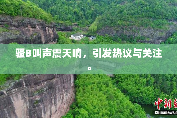 骚B叫声震天响，引发热议与关注。