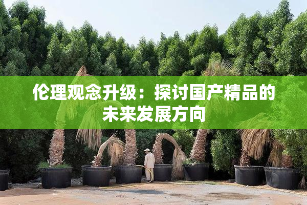 伦理观念升级：探讨国产精品的未来发展方向