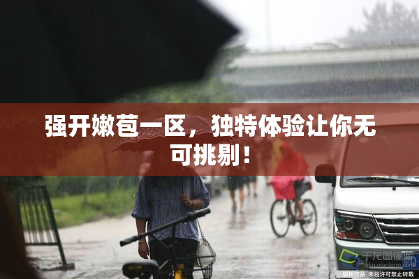 强开嫩苞一区，独特体验让你无可挑剔！