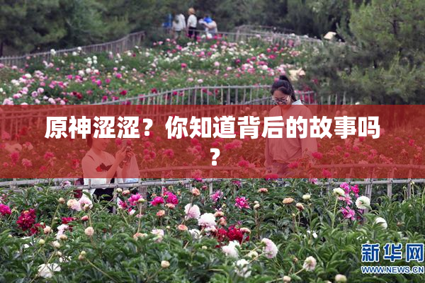 原神涩涩？你知道背后的故事吗？
