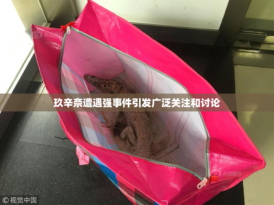 玖辛奈遭遇强事件引发广泛关注和讨论
