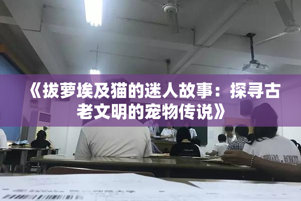 《拔萝埃及猫的迷人故事：探寻古老文明的宠物传说》